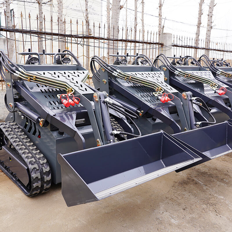 skid steer loaders shipped to france-45