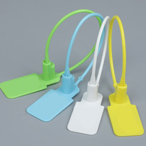 Custom Anti-Theft Disposable Hangtag Plastic Seal Tag