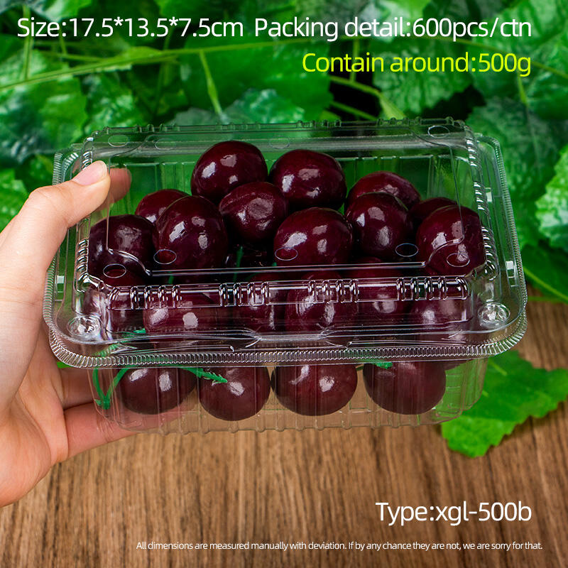 Competitive price and food grade PET plastic fruit package box in the supermarket display packing grape tomato strawberry factory