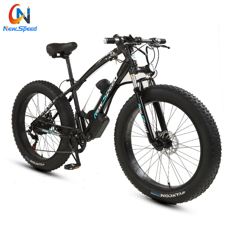 Factory Custom Electric Snow Bike Aluminium/Steel Frame 48V 300W 500 W E Bike Fatbike 24Speed Electric Bike manufacture