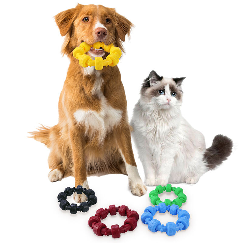 Rubber Pet Chew Toys Combination of Fun and Dental Care