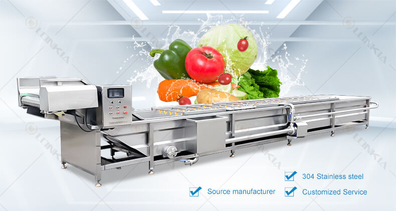 Tomato potato carrot ginger vegetable washing line fruit and vegetable washing drying Mango fruit cleaning machine manufacture