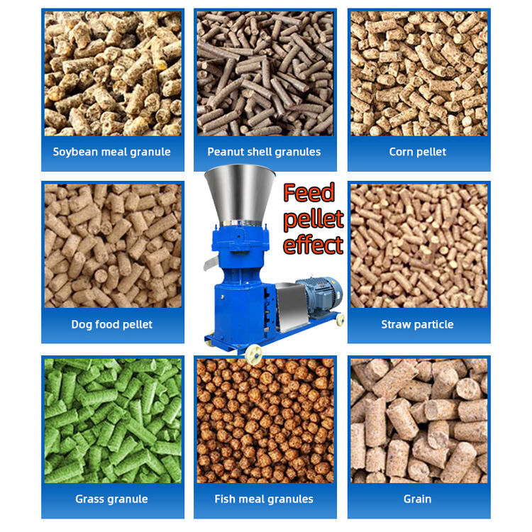 animal feed pellet machine (2)