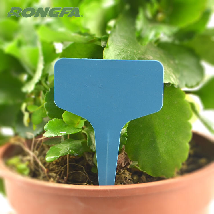 Garden  Thin Plastic T-Type Plant Label supplier