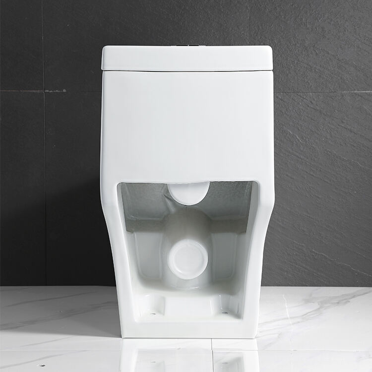 European style Sanitary Ware bathroom washdown commode toilet Water Saving one piece ceramic toilet details