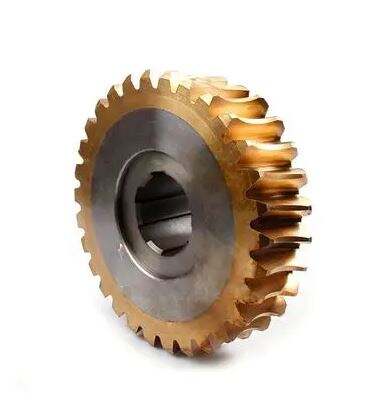 High Quality Precision Parts Worm Gear Parts manufacture