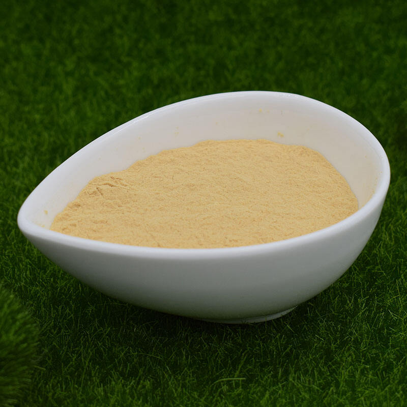 Chitosan oligosaccharide Powder