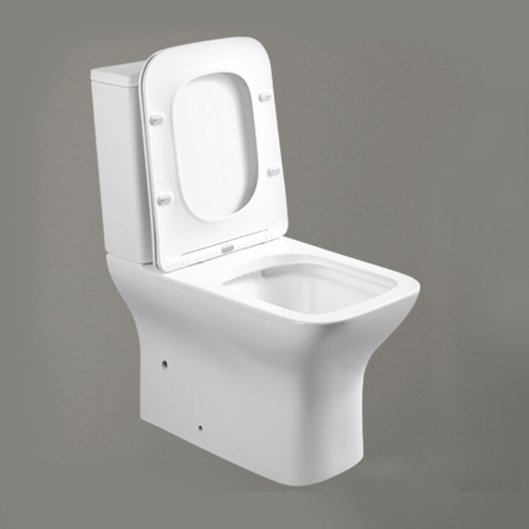 sanitary ware ceramic soft close toilet seat prices floor mounted rimless toilet factory