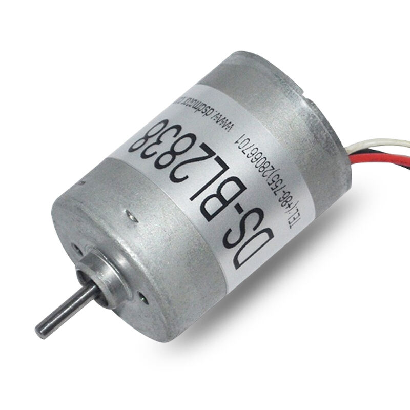 DSD-BL2838 28mm Factory Price Precious Metal 12 volt Brushless DC Motor for Electric Toothbrushes details