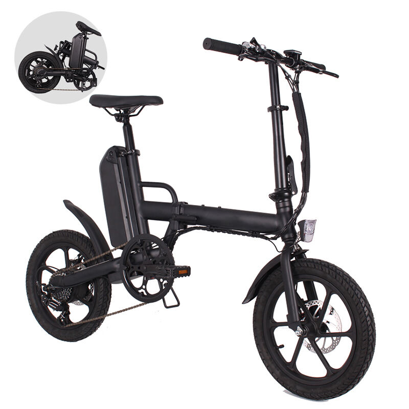 Foldable Electric Bike Brushless 36V 250W LED Light OEM Frame Battery Time Charging manufacture