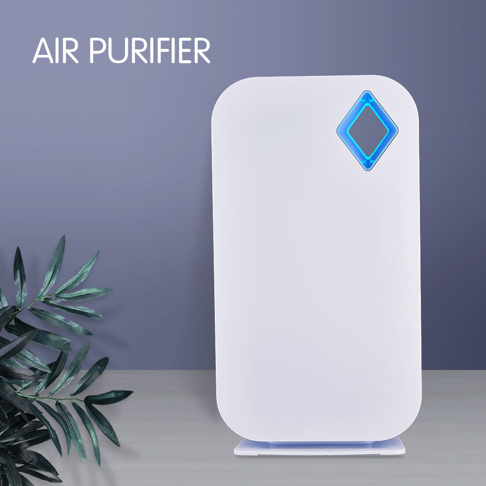 China Factory Design Multi-function Smart Fashion Electric Air Purifier supplier