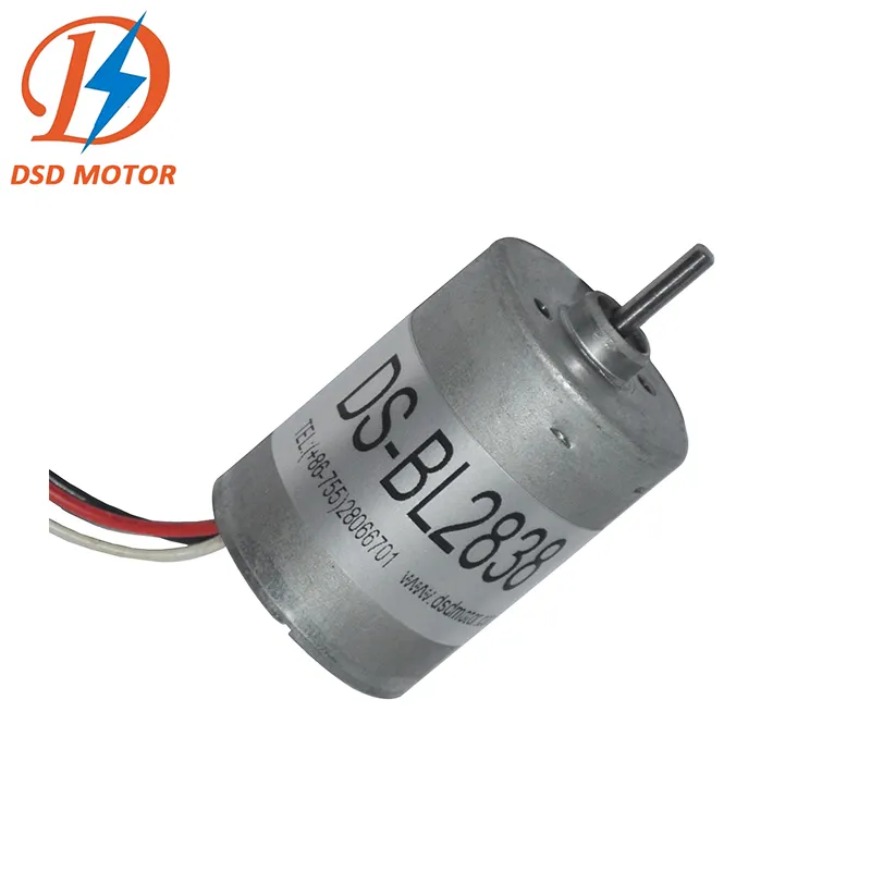 DSD-BL2838 28mm Factory Price Precious Metal 12 volt Brushless DC Motor for Electric Toothbrushes manufacture