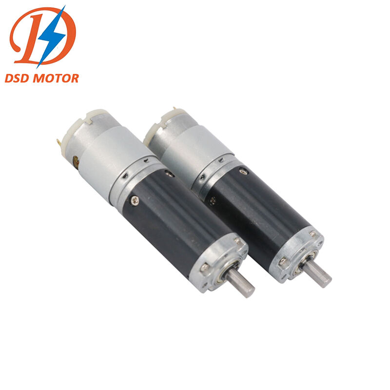 DSD Mini Motor 28RP395 12V 24V Electric High Torque DC Planetary Gear Motor 20Kgf.cm For Medical Equipment Motor details