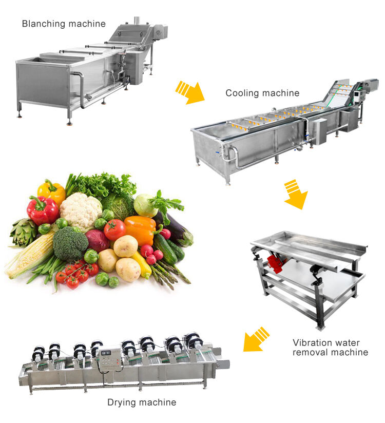 Fruits Vegetables Carrots Coconut Meat Mushroom Blanching Machine Continuous Almond Blancher Machine factory