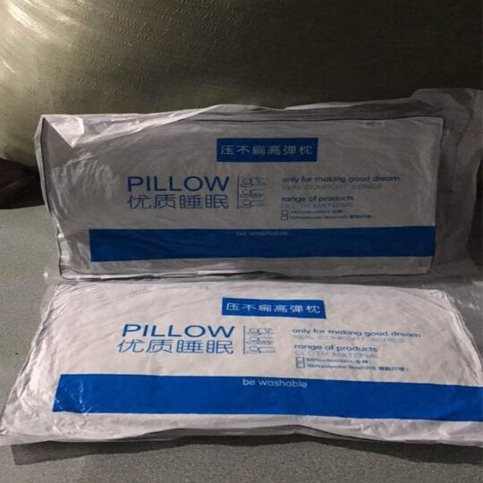 New arrival skin-friendly hotel polyester pillow 1000 gram with handbag factory