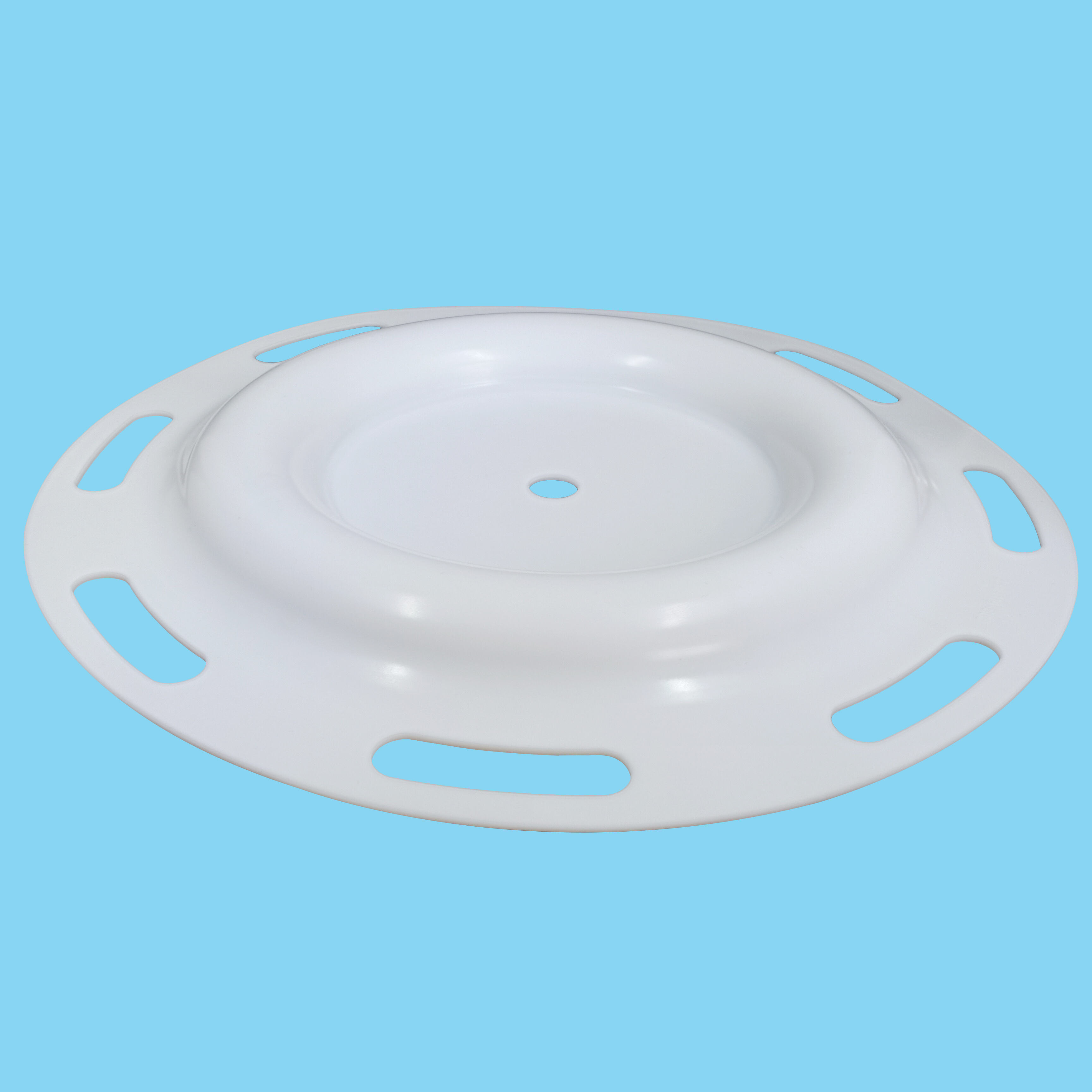 Diaphragm CF286.119.600 PTFE supplier