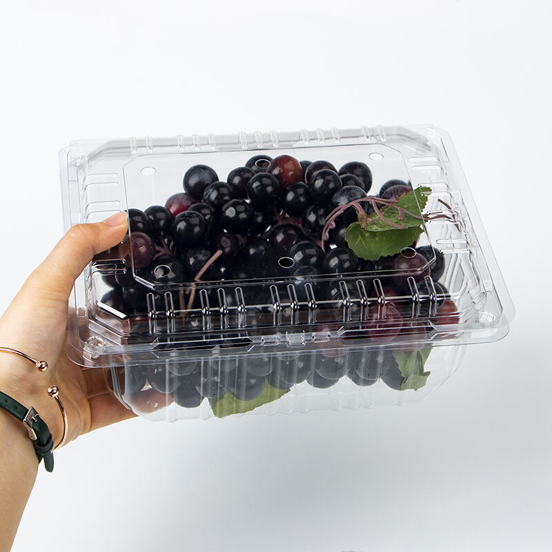 Factory price Wholesale Clear Container Clamshell Fruit Box For Supermarket Packaging