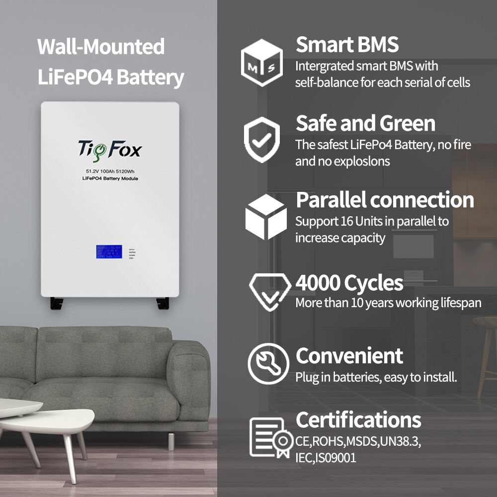 Tigfox solar inverter 3kw 48 volt lithium battery 5kw solar inverter batterie ion lithium 5kw 10kw lifepo4 battery energy supplier