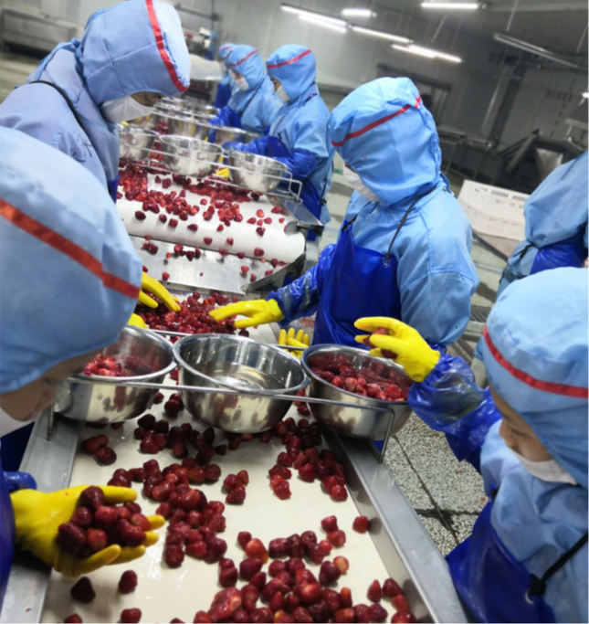  Let's make the foods more simple, more natural, more tasty