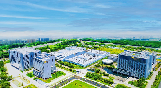 CHINA RESOURCES SAN JIU PHA-pharmaceutical industry