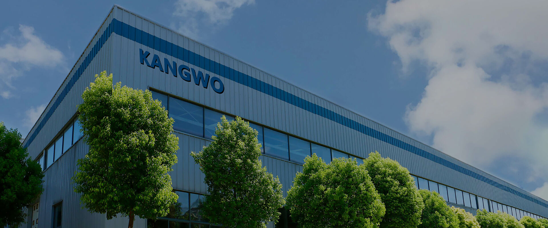 Shandong Kangwo Holding Co., Ltd.