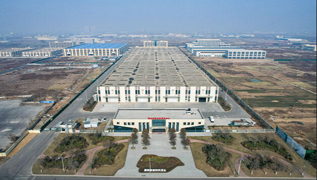 Shandong Kangwo Holding Co., Ltd.