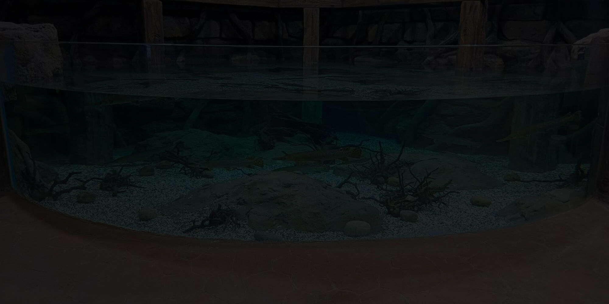  Enterprise advantages