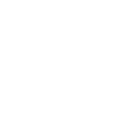 Perfect Service Process