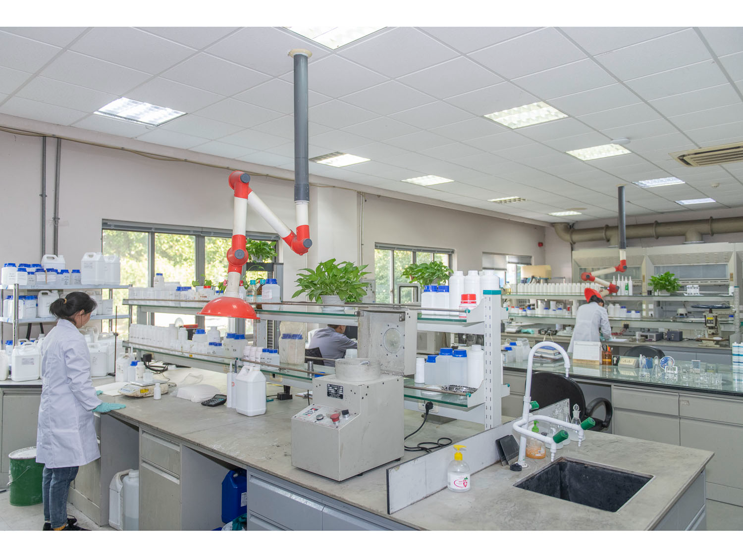 Company Overview & Capabilities