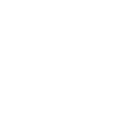 Expert Technical Team Guidance