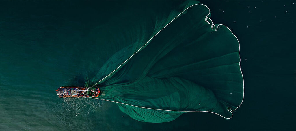 AGRICULTURE & HORTICULTURE & FISHING