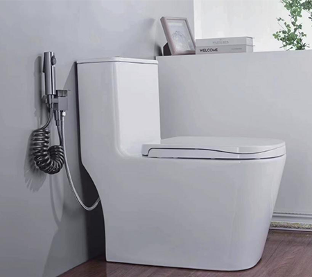 Bidet Set
