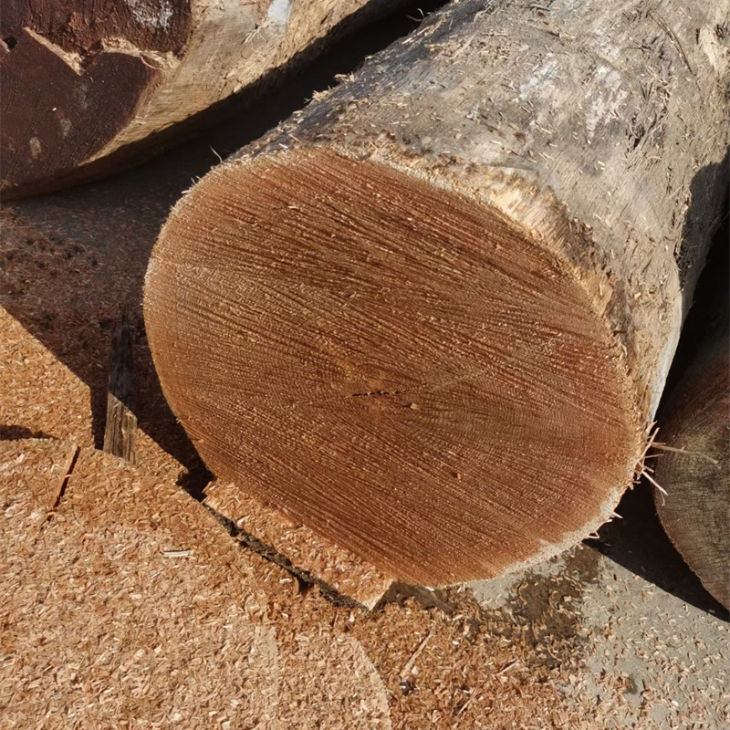 Benefits of Engineered Wood Veneer