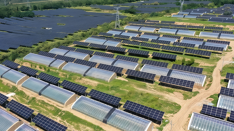 Agricultural photovoltaic composite project