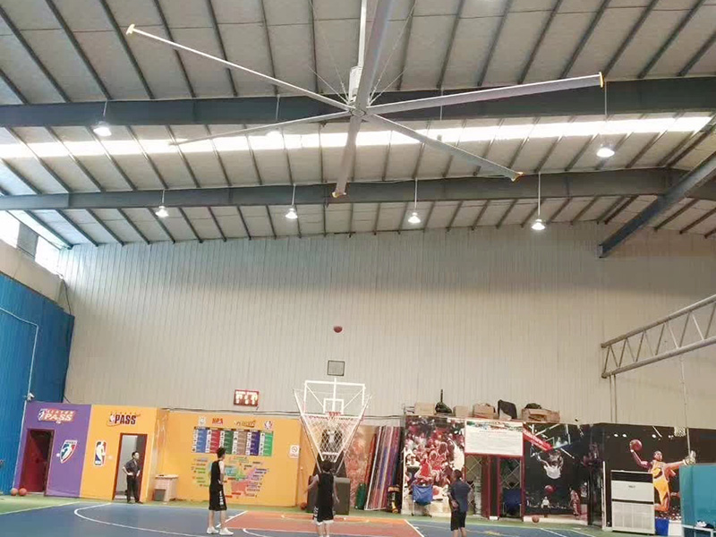 Basketball gym WYDS-B series