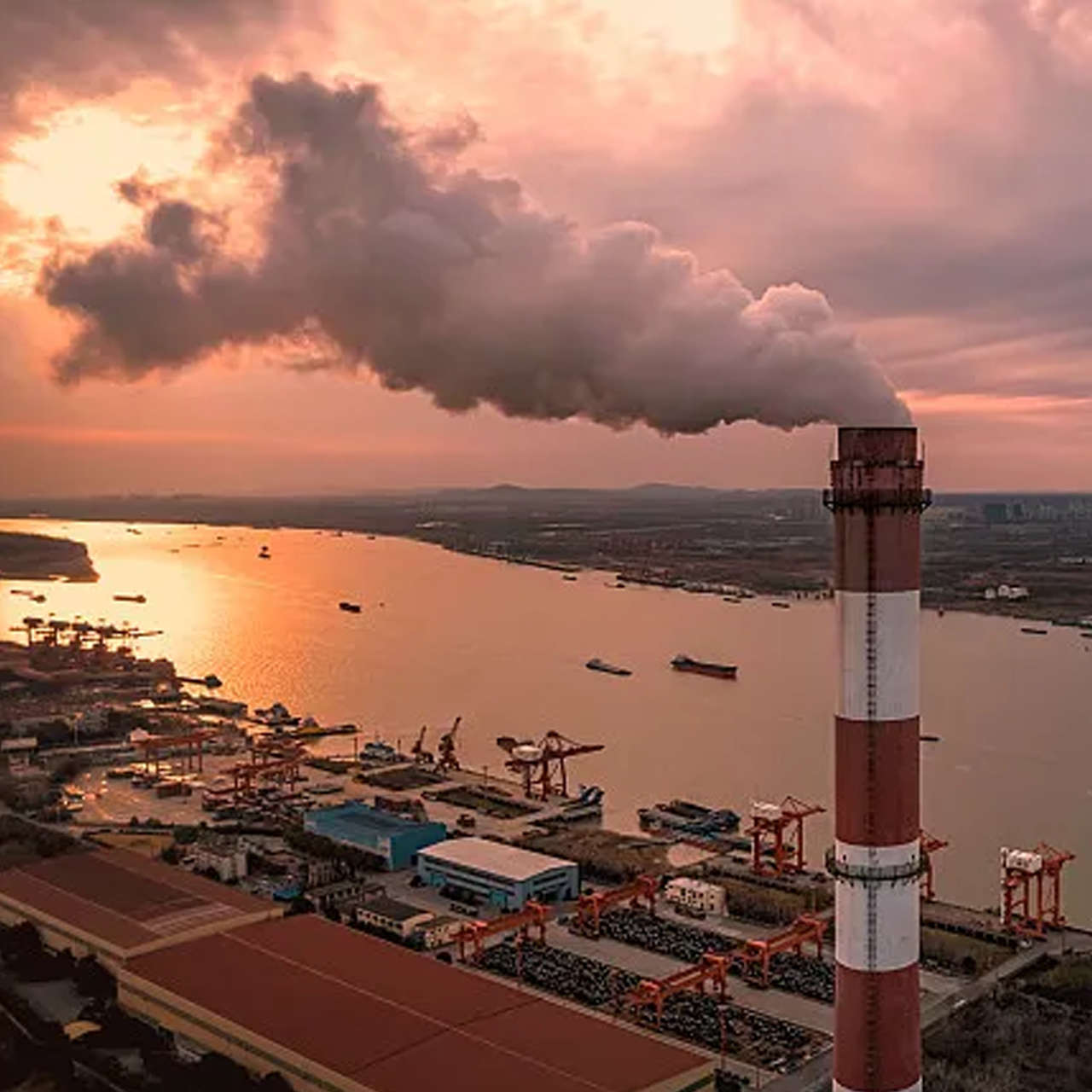 Exhaust gas purification