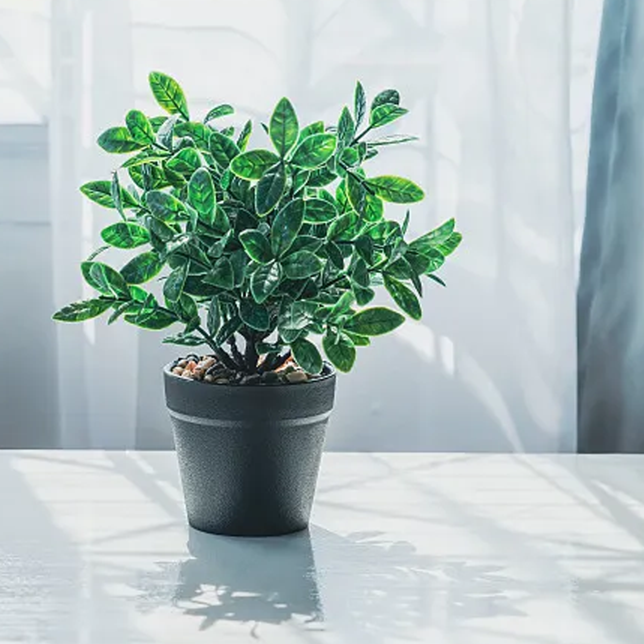 Gas/Air purification