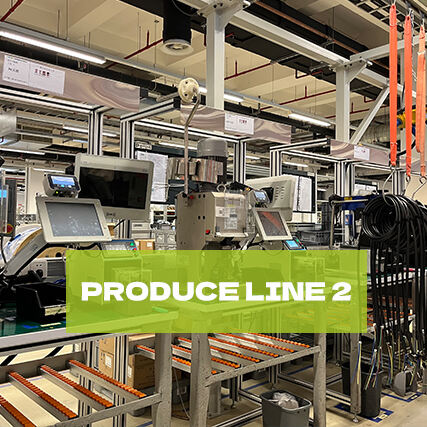 Meet our professional