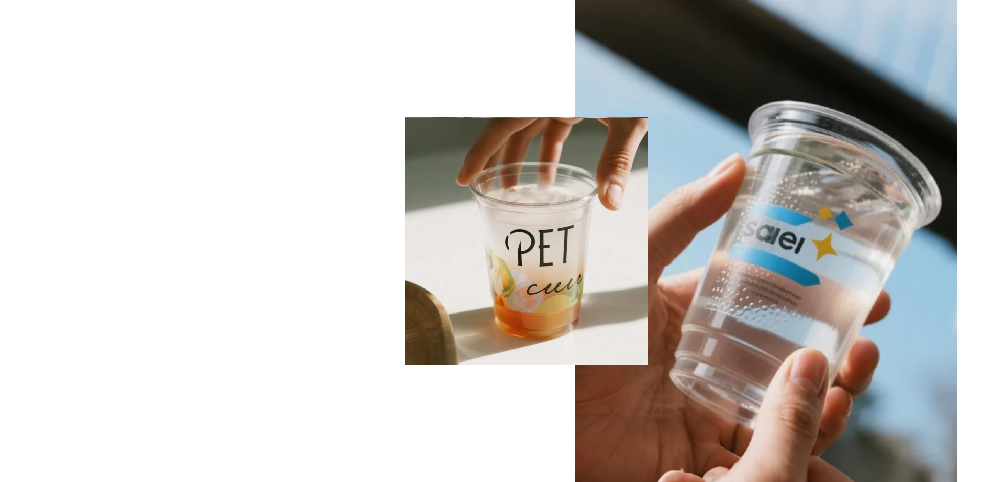 One-Stop Innovative and Environmentally Friendly Packaging Solution